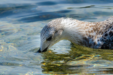 Similar image 12200436