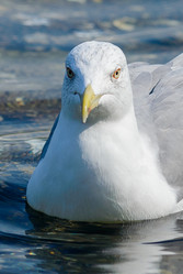 Similar image 12200437