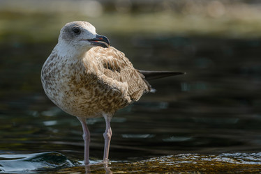 Similar image 12200440