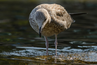 Similar image 12200441