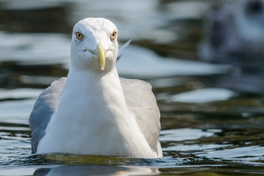 Similar image 12200449