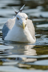 Similar image 12201333