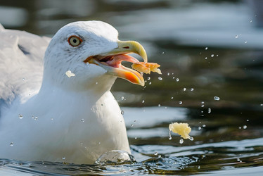 Similar image 12201334