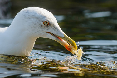 Similar image 12201335