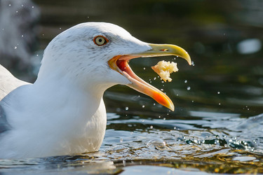 Similar image 12201336