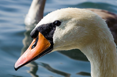 Similar image 12201337