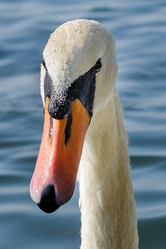 Similar image 12201338