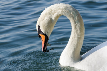 Similar image 12201339