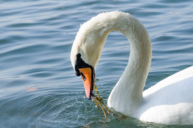 Similar image 12201340