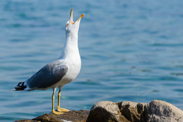 Similar image 12201353