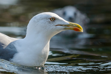 Similar image 12201355