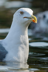 Similar image 12201356