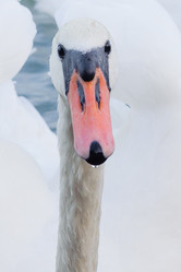 Similar image 12201357