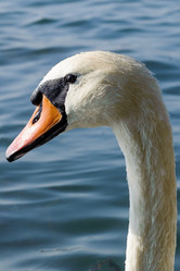 Similar image 12201359