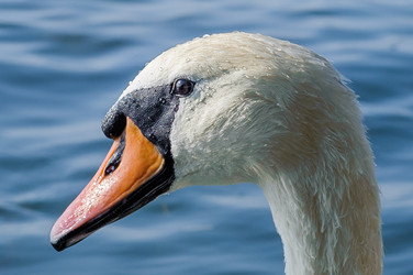 Similar image 12201360