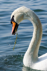 Similar image 12201361