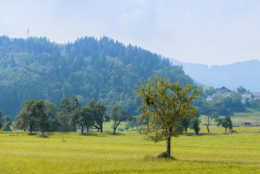 Similar image 12201366