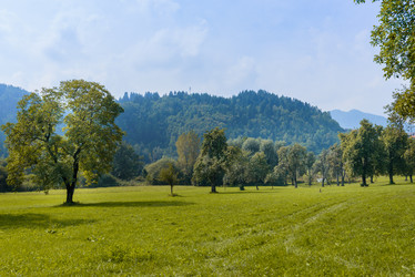 Similar image 12201373