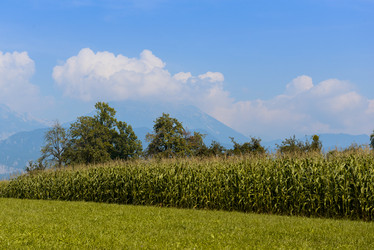 Similar image 12201374