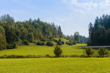 Similar image 12201375