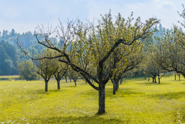 Similar image 12201376