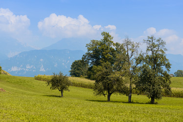 Similar image 12201377