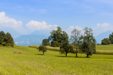 Similar image 12201378