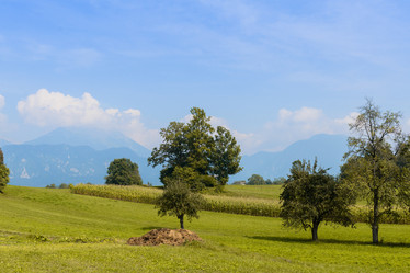 Similar image 12201379