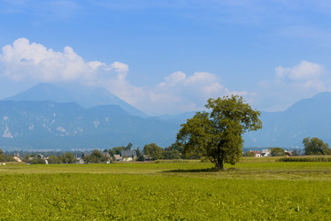 Similar image 12201380