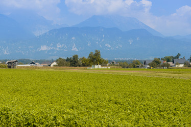 Similar image 12201382