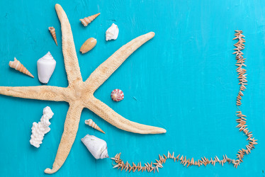 Similar image 12201406