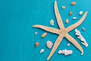 Similar image 12201423