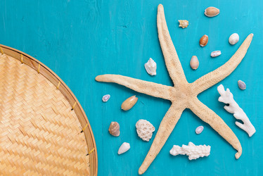 Similar image 12201433