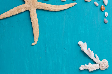 Similar image 12201434