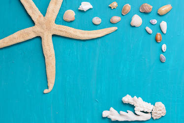 Similar image 12201435