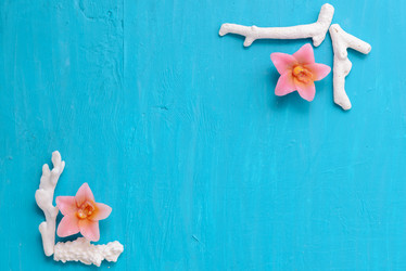 Similar image 12201438