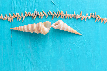 Similar image 12201441