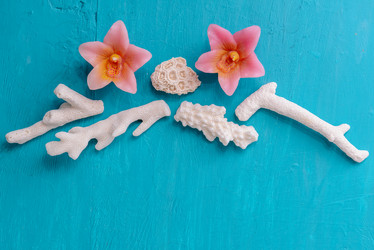 Similar image 12201442