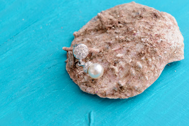 Similar image 12201459