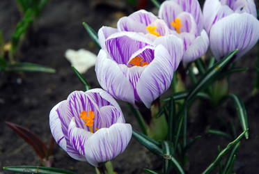 Similar image 12201473