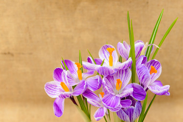 Similar image 12201475