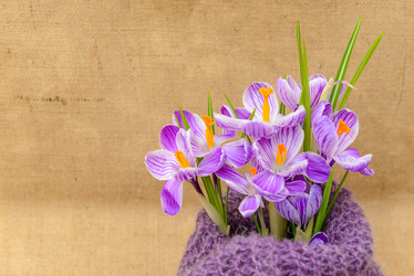 Similar image 12201476