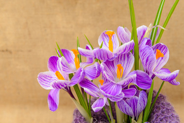 Similar image 12201477