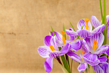 Similar image 12201478