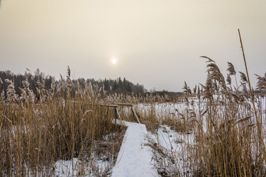 Similar image 12198755