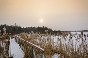 Similar image 12198756