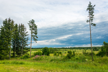 Similar image 12198769