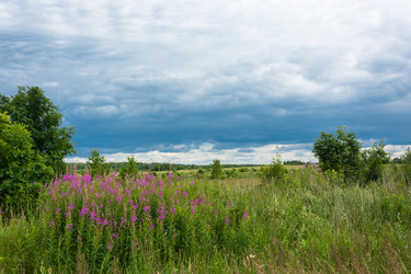 Similar image 12198770