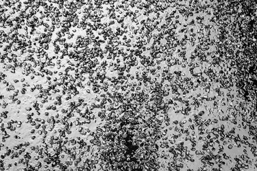 Similar image 12198777