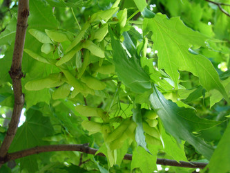 Similar image 12220928